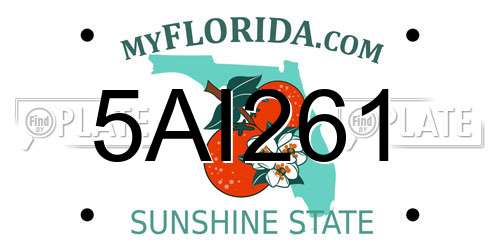 5AI261 Florida License Plate
