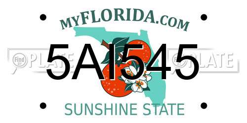 5AI545 Florida License Plate