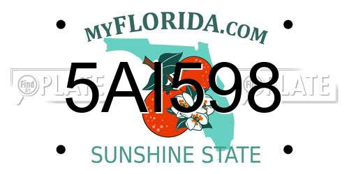 5AI598 Florida License Plate