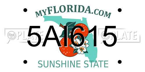 5AI615 Florida License Plate