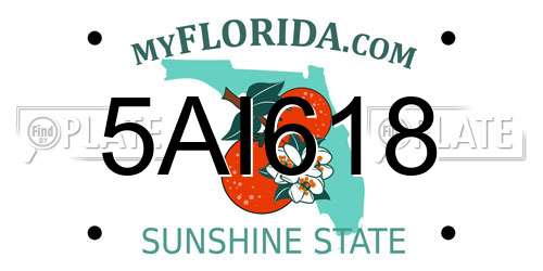 5AI618 Florida License Plate
