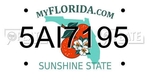 5AI7195 Florida License Plate