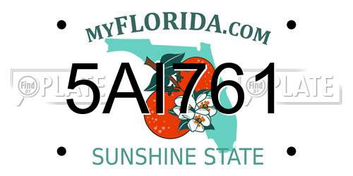 5AI761 Florida License Plate
