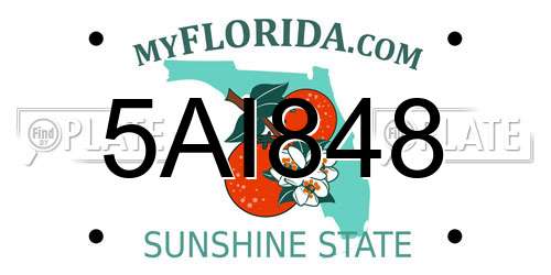 5AI848 Florida License Plate