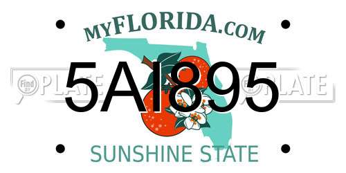 5AI895 Florida License Plate
