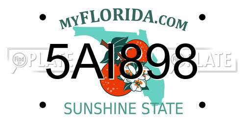 5AI898 Florida License Plate