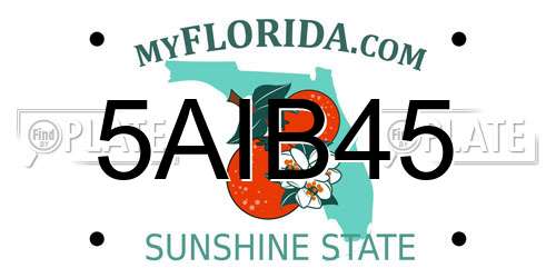 5AIB45 Florida License Plate