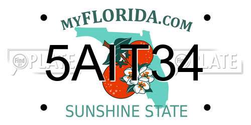 5AIT34 Florida License Plate