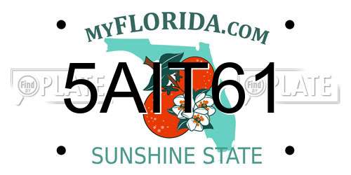 5AIT61 Florida License Plate