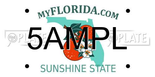 5AMPL Florida License Plate