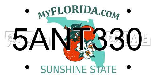 5ANT330 Florida License Plate