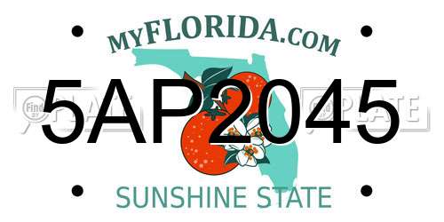 5AP2045 Florida License Plate