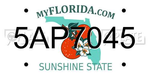 5AP7045 Florida License Plate
