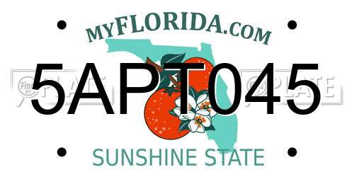 5APT045 Florida License Plate