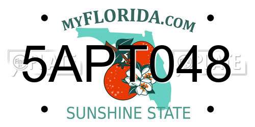 5APT048 Florida License Plate