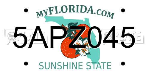 5APZ045 Florida License Plate