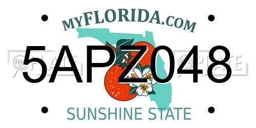 5APZ048 Florida License Plate