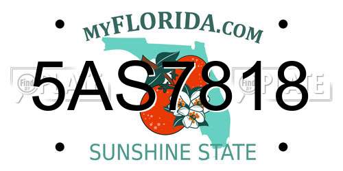 5AS7818 Florida License Plate