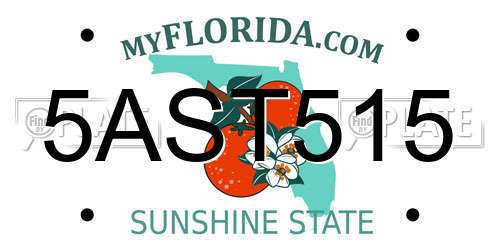 5AST515 Florida License Plate