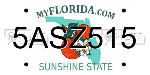 5ASZ515 Florida License Plate