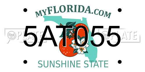 5AT055 Florida License Plate