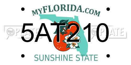 5AT210 Florida License Plate