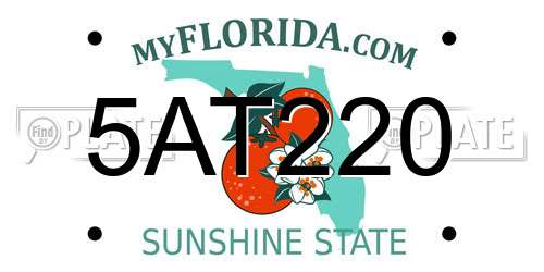 5AT220 Florida License Plate