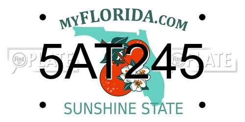 5AT245 Florida License Plate