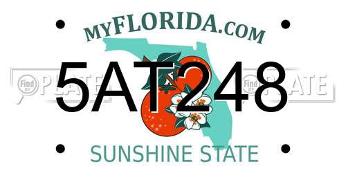 5AT248 Florida License Plate