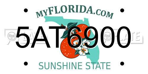 5AT6900 Florida License Plate