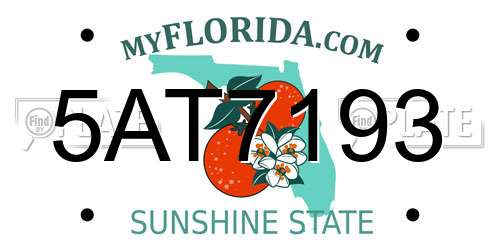 5AT7193 Florida License Plate
