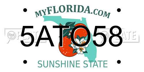 5ATO58 Florida License Plate