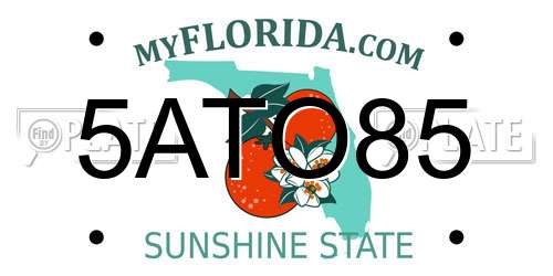 5ATO85 Florida License Plate