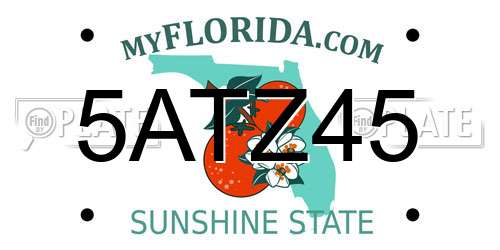5ATZ45 Florida License Plate