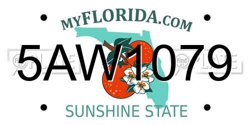 5AW1079 Florida License Plate