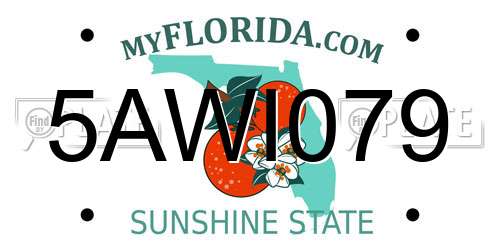5AWI079 Florida License Plate