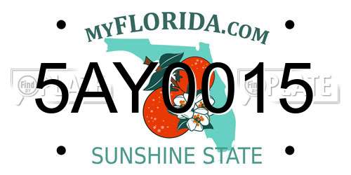 5AY0015 Florida License Plate
