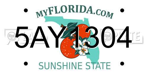 5AY1304 Florida License Plate