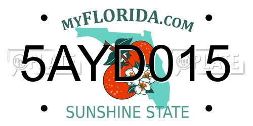 5AYD015 Florida License Plate