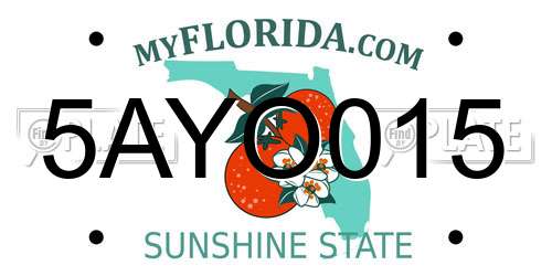 5AYO015 Florida License Plate