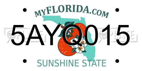 5AYQ015 Florida License Plate