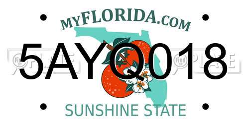 5AYQ018 Florida License Plate