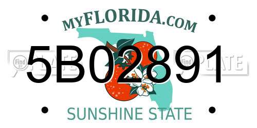 5B02891 Florida License Plate