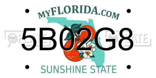 5B02G8 Florida License Plate