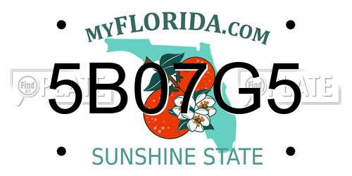 5B07G5 Florida License Plate