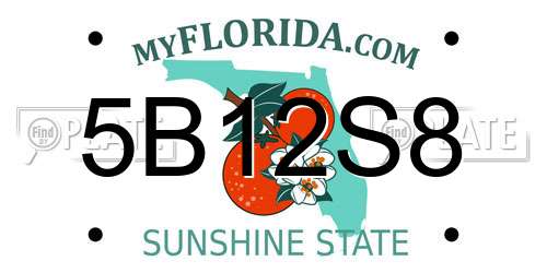 5B12S8 Florida License Plate