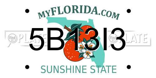 5B13I3 Florida License Plate