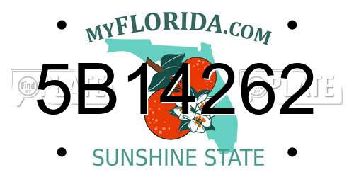 5B14262 Florida License Plate