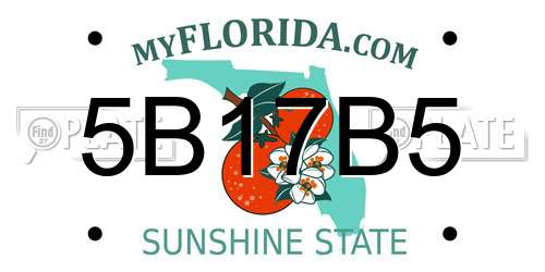 5B17B5 Florida License Plate