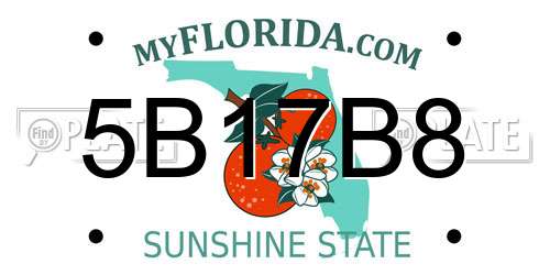 5B17B8 Florida License Plate